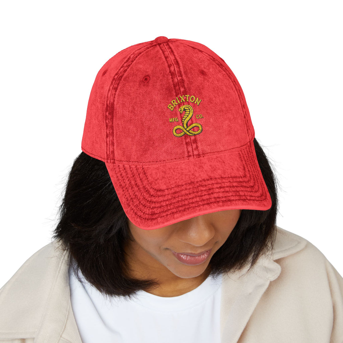 Vintage Embroidered Cap — Retro Snake Logo Dad Hat Hats Printify