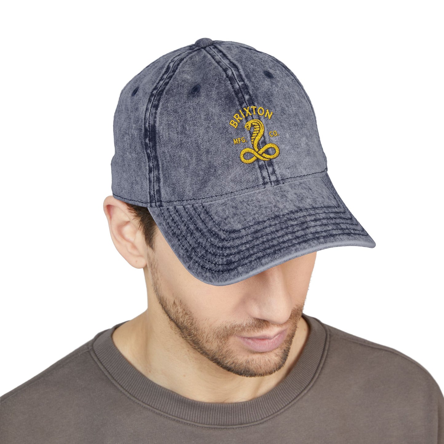 Vintage Embroidered Cap — Retro Snake Logo Dad Hat Hats Printify