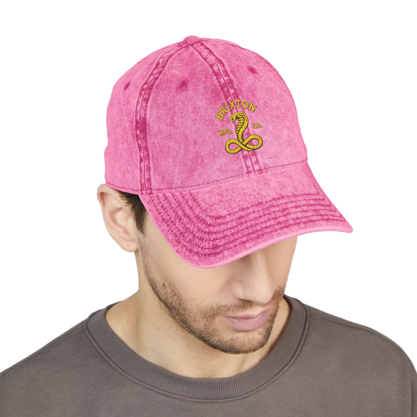 Vintage Embroidered Cap — Retro Snake Logo Dad Hat