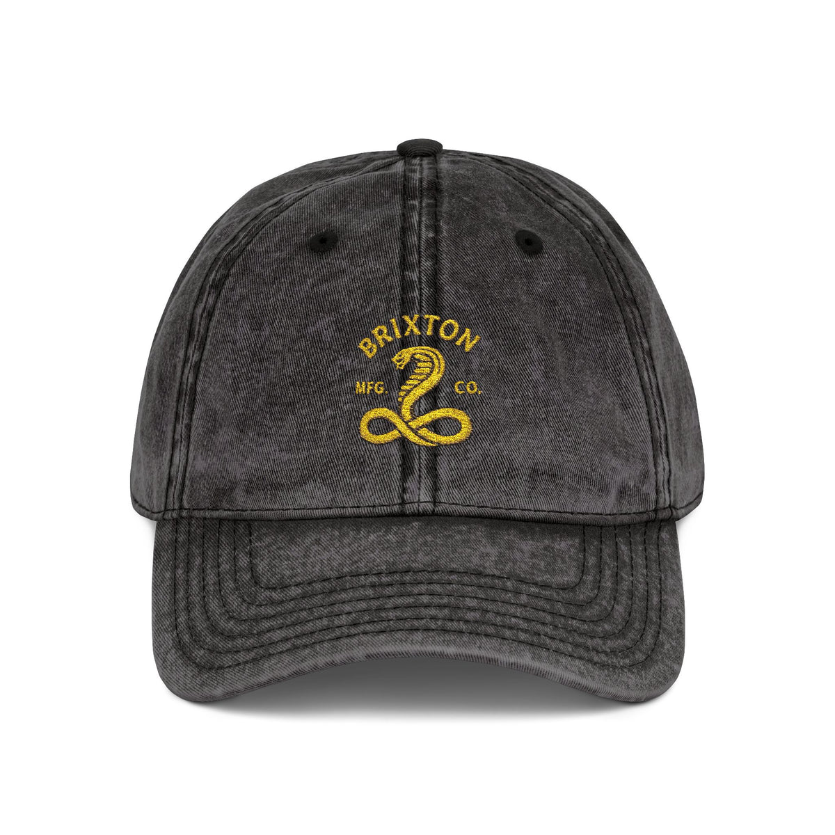 Vintage Embroidered Cap — Retro Snake Logo Dad Hat Hats Printify One size Black