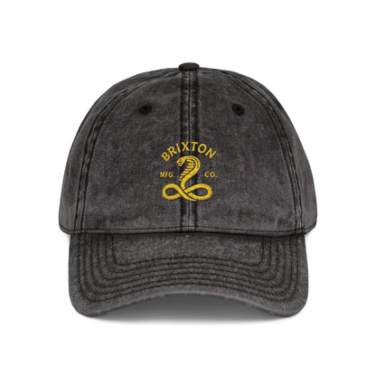 Vintage Embroidered Cap — Retro Snake Logo Dad Hat Hats Printify One size Black