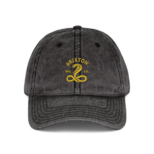 Vintage Embroidered Cap — Retro Snake Logo Dad Hat Hats Printify One size Black