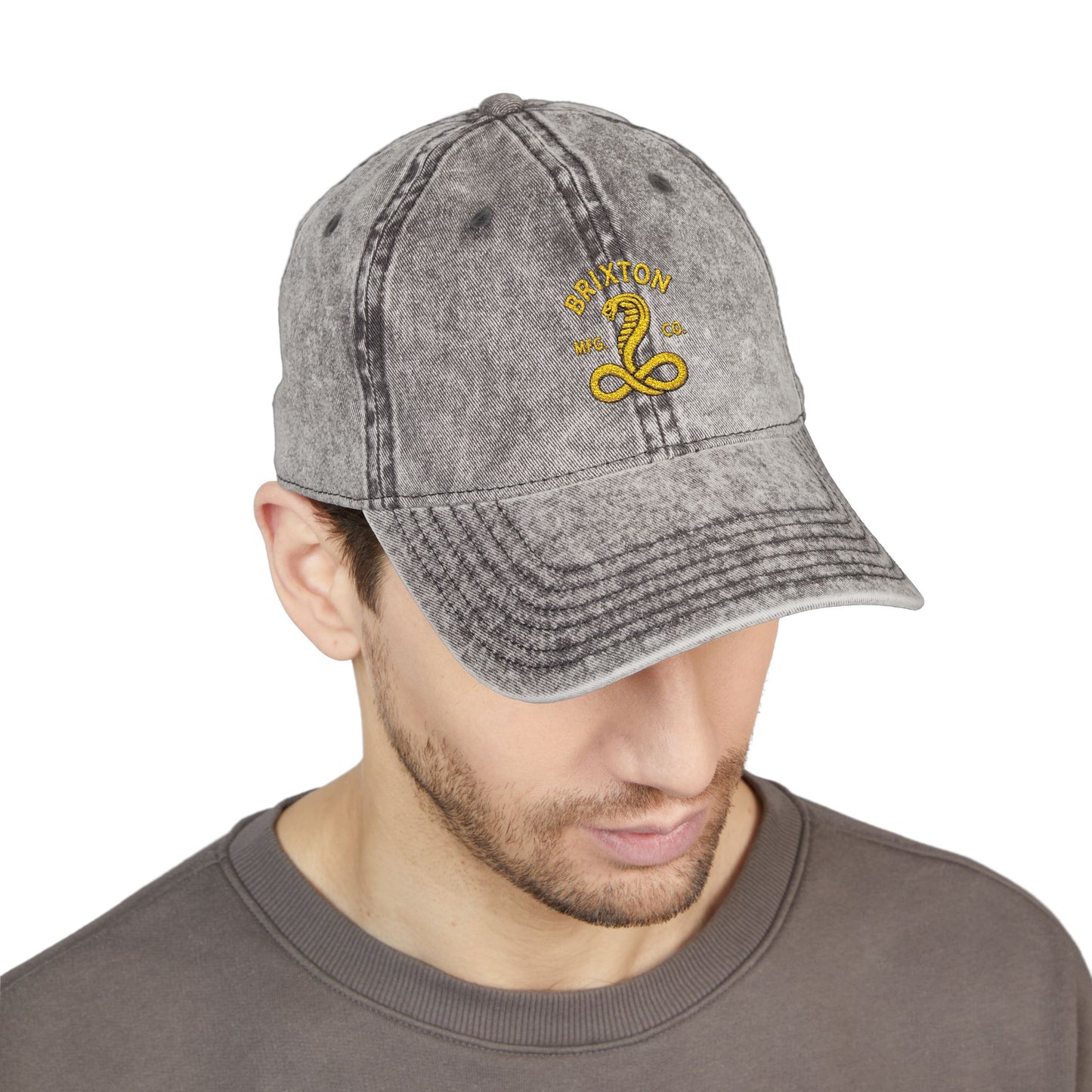 Vintage Embroidered Cap — Retro Snake Logo Dad Hat Hats Printify