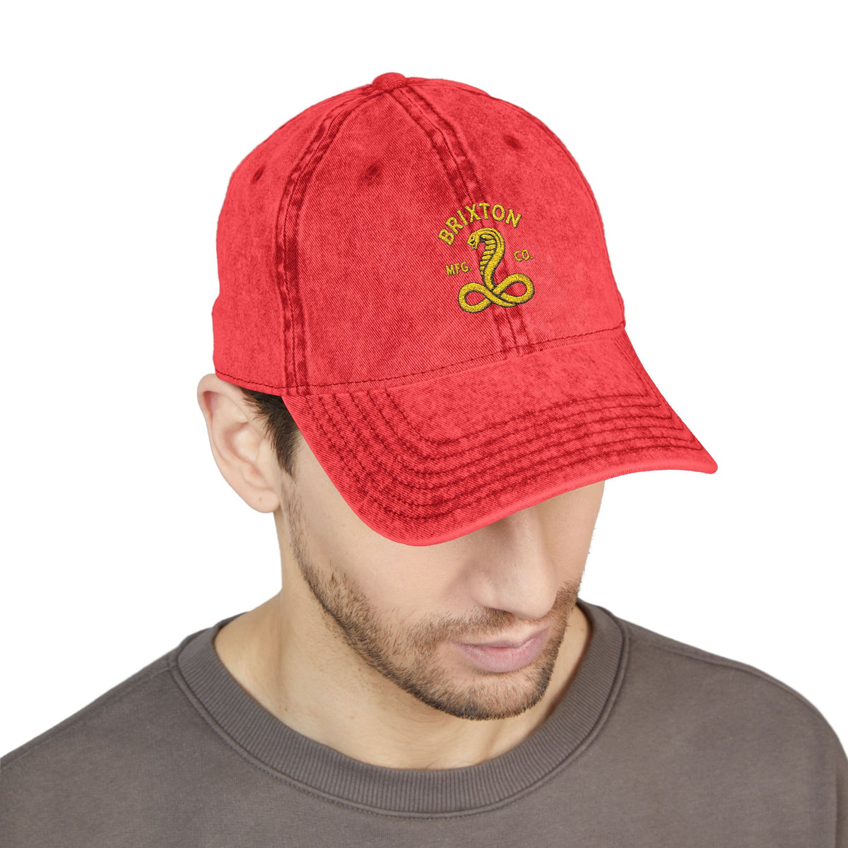 Vintage Embroidered Cap — Retro Snake Logo Dad Hat Hats Printify